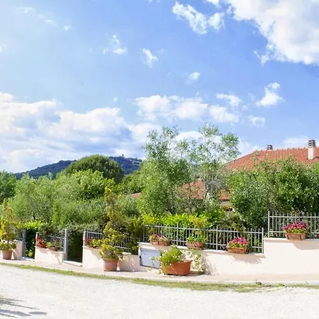 Poggio Degli Olivi-3